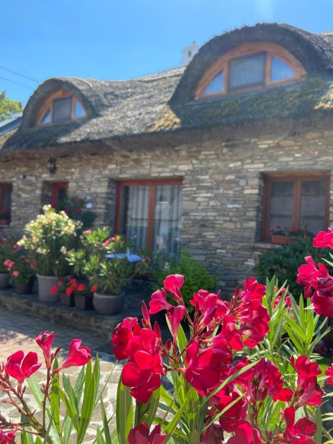 Centrum Vendeghaz Tihany Dış mekan fotoğraf